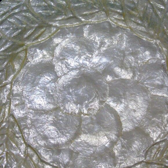Studio
Nova Mother of Pearl 1 Plate Kappa Shell Serveware - Picture 6 of 9